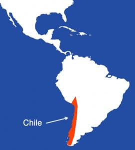 Existen muchos regionalismos de Chile que son conocidos como palabras chilenas